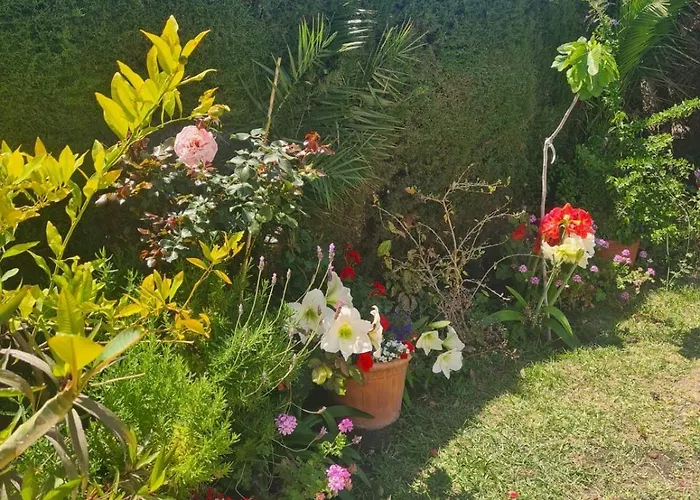 Olivos With Heated Pool *