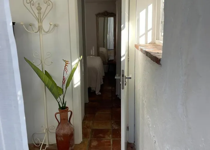 Villa Olivos With Heated Pool